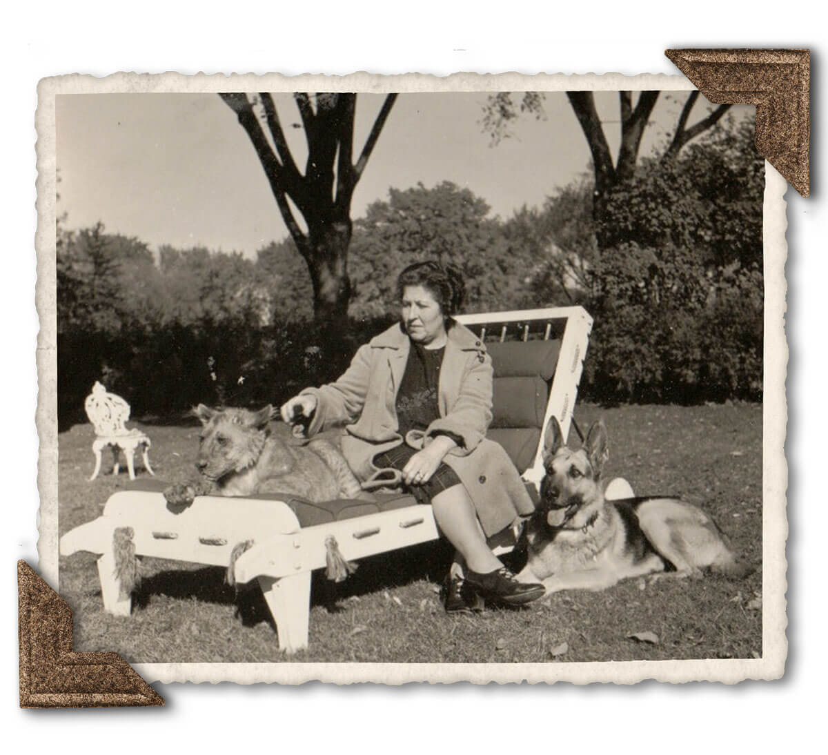 black and white photo of a woman with two large dogs