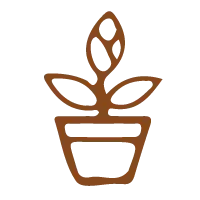 Potted plant with leaves, symbolizing growth and fresh ideas