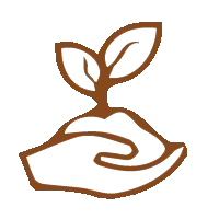 Hand holding a sprouting plant with two leaves, symbolizing growth and care